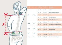 Deuter AC Lite 14 SL Dames Rugzak - Grape-aubergine 21 Deuter AC Lite 14 SL Dames Rugzak - Grape-aubergine -Sportserie Winkel backlength measurement 1428892