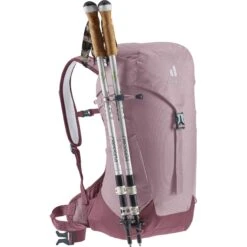 Deuter AC Lite 14 SL Dames Rugzak - Grape-aubergine 19 Deuter AC Lite 14 SL Dames Rugzak - Grape-aubergine -Sportserie Winkel deuter ac lite 14 sl women backpack grape aubergine 9 1170448