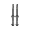 Schwalbe Tubeless Valves (1 Pair) - 40/60/100mm
