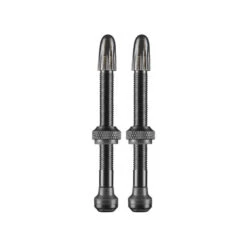 Schwalbe Tubeless Valves (1 Pair) - 40/60/100mm