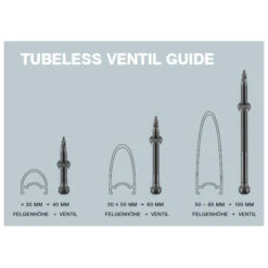 Schwalbe Tubeless Valves (1 Pair) - 40/60/100mm -Sportserie Winkel tubeless valve 2 838025